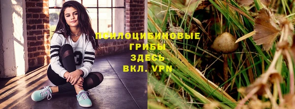 бутират Заводоуковск
