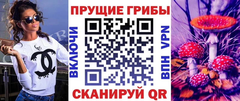 Купить  Нелидово  Псилоцибиновые грибы Psilocybe 
