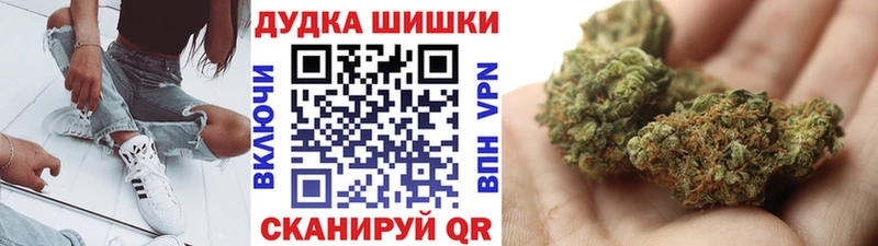 Купить закладки  Нелидово  Канабис план 